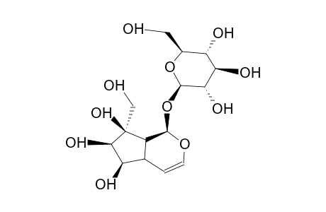 PAULOWNIOSIDE