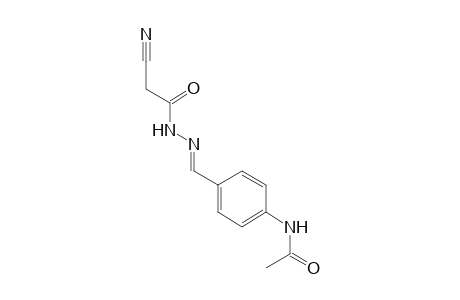 cyanoacetic acid, (p-acetamidobenzylidene)hydrazide