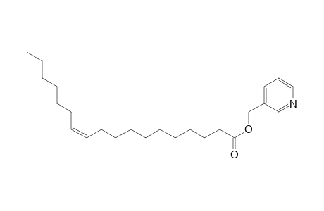 cis-Vaccenic acid, picolinyl ester