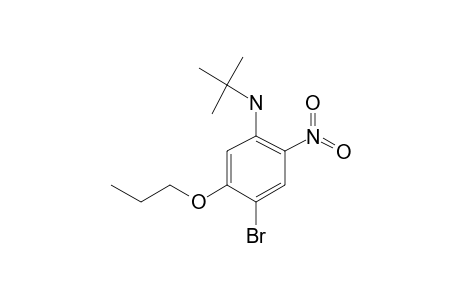 4-Bromo-N-T-butyl-2-nitro-5-propoxyaniline