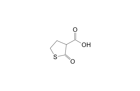 2-Oxotetrahydrothiophene-3-carboxylic acid