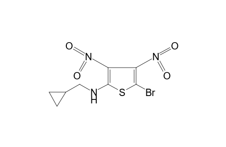 2-bromo-5-[(cyclopropylmethyl)amino]-3,4-dinitrothiophene