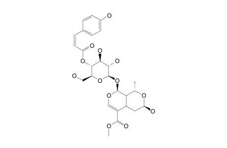 4'-O-CIS-PARA-COUMAROYL-7-BETA-MORRONISIDE