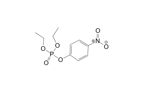 (4-NITROPHENYL)-DIETHYL-PHOSPHATE