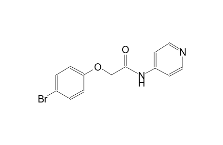 acetamide, 2-(4-bromophenoxy)-N-(4-pyridinyl)-