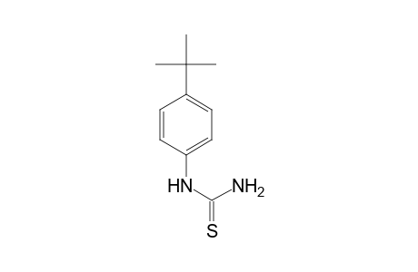 1-(p-tert-BUTYLPHENYL)-2-THIOUREA