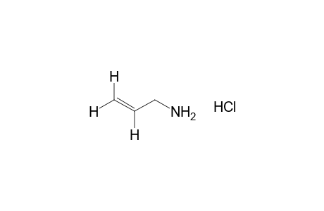 allylamine, hydrochloride