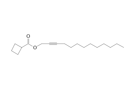 Cyclobutanecarboxylic acid, tridec-2-ynyl ester