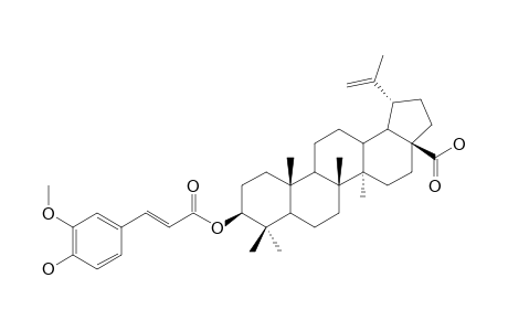 3-O-BETA-TRANS-FERULOYLBETULINIC_ACID