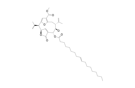 LIPIDYL_PSEUDOPTERANE_B