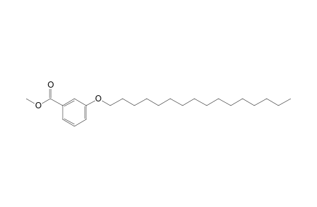 m-(Hexadecyloxy)benzoic acid, methyl ester