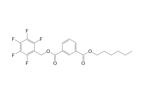 Isophthalic acid, hexyl pentafluorobenzyl ester