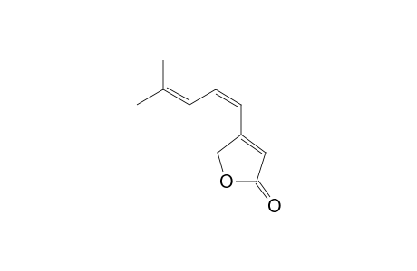 (Z)-Scobinolide [(2'Z)-4-(4'-methylpenta-1',3'-dien-1'-yl)furan-2(5H)-one]