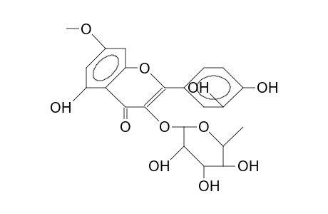 Rhamnetin-3-O-rhamnoside