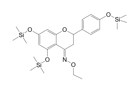 Naringenin ethoxime, tri-TMS