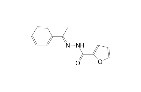 N'-[(E)-1-phenylethylidene]-2-furohydrazide