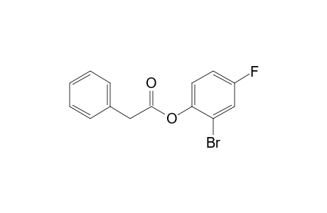 Phenylacetic acid, 2-bromo-4-fluorophenyl ester