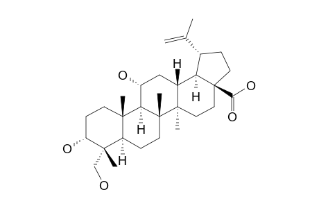 3-ALPHA,11-ALPHA,23-TRIHYDROXY-LUP-20(29)-EN-28-OIC-ACID