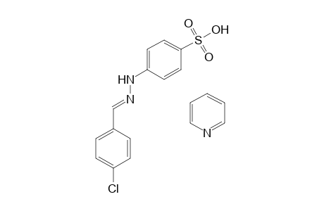p-[(p-chlorobenzylidene)hydrazino]benzenesulfonic acid, compound with pyridine(1.1)
