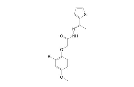 2-(2-Bromo-4-methoxyphenoxy)-N'-[(E)-1-(2-thienyl)ethylidene]acetohydrazide