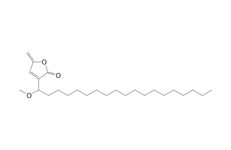 KOTOMOLIDE_B;3-(1-METHOXYNONADECYL)-5-METHYLENE-5-H-FURAN-2-ONE