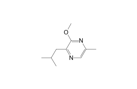 3-Methoxy-5-methyl-2-(2-methylpropyl)pyrazine
