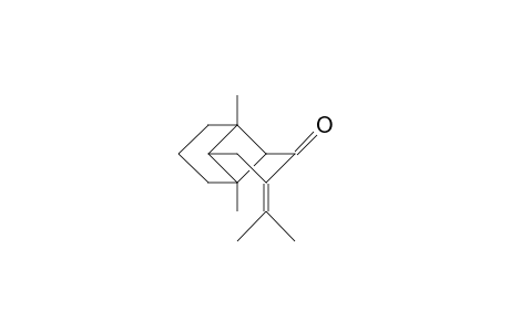 1,7-Dimethyl-4-isopropylidene-tricyclo(4.4.0.0/2,7/)decan-3-one