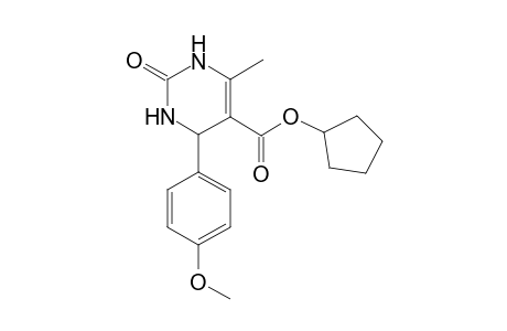 5-Pyrimidinecarboxylic acid, 1,2,3,4-tetrahydro-4-(4-methoxyphenyl)-6-methyl-2-oxo-, cyclopentyl ester