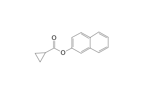 Cyclopropanecarboxylic acid, 2-naphthyl ester