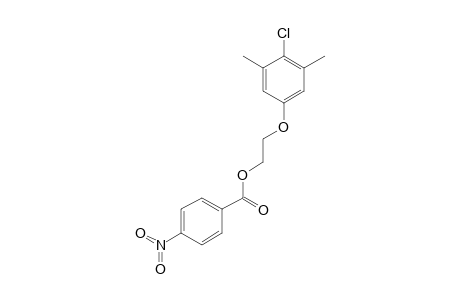2-(4-chloro-3,5-xylyloxy)ethanol, p-nitrobenzoate