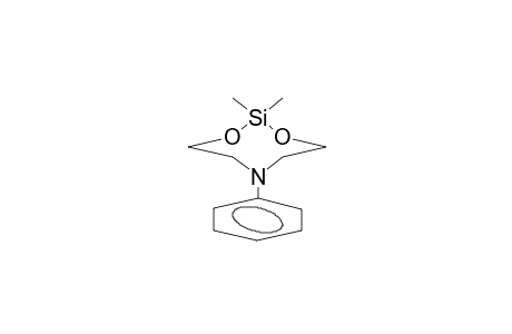 2,2-DIMETHYL-6-PHENYL-1,3-DIOXA-6-AZA-2-SILACYCLOOCTANE