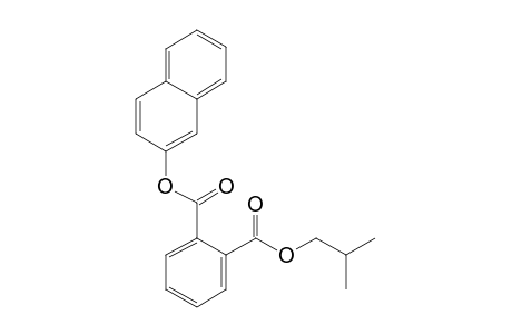 Phthalic acid, isobutyl 2-naphthyl ester