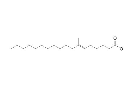 7-Methyl-6(E)-octadecenoic acid