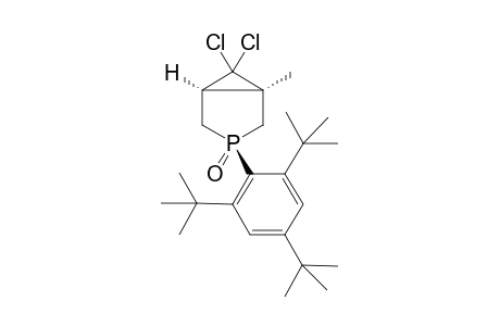 (1R,3R,5S)-6,6-Dichloro-1-methyl-3-(2,4,6-tri-tert-butyl-phenyl)-3-phospha-bicyclo[3.1.0]hexane