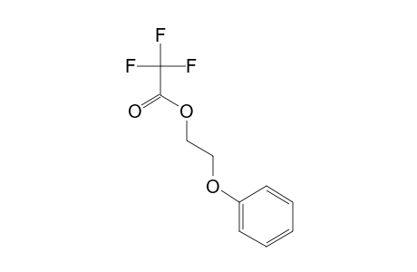 trifluoroacetic acid, 2-phenoxyethyl ester