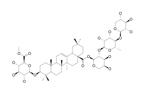 SCABEROSIDE-B5;3-O-BETA-[(6-O-METHYL)-GLUCURONOPYRANOSYL]-OLEANOLIC-ACID-28-O-[XYLOPYRANOSYL-(1->4)-RHAMNOPYRANOSYL-(1->2)-ARABINOPYRANOSYL]-ESTER