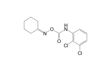 cyclohexanone, O-[(2,3-dichlorophenyl)carbamoyl]oxime