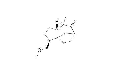 PREZIZA-7(15)-EN-12-YL-METHYLETHER