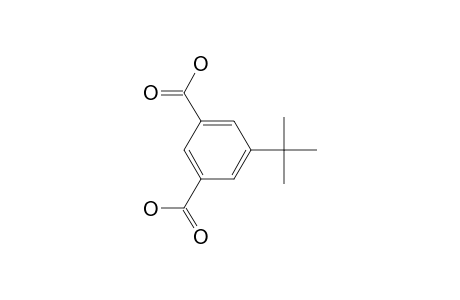 5-tert-BUTYLISOPHTHALIC ACID