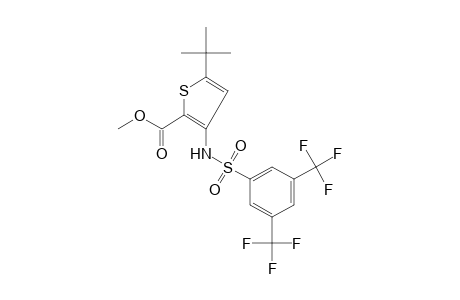 5-tert-BUTYL-3-(alpha,alpha,alpha,alpha',alpha',alpha'-HEXAFLUORO-3,5-XYLENESULFONAMIDO)-2-THIOPHENECARBOXYLIC ACID, METHYL ESTER