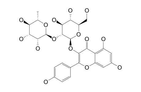 KAEMPFEROL-3-NEOHESPERIDOSIDE