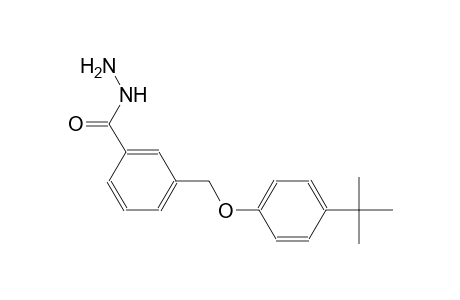 benzoic acid, 3-[[4-(1,1-dimethylethyl)phenoxy]methyl]-, hydrazide