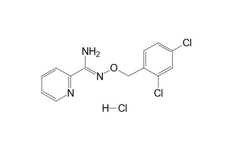 O-(2,4-DICHLOROBENZYL)PICOLINAMIDOXIME, MONOHYDROCHLORIDE