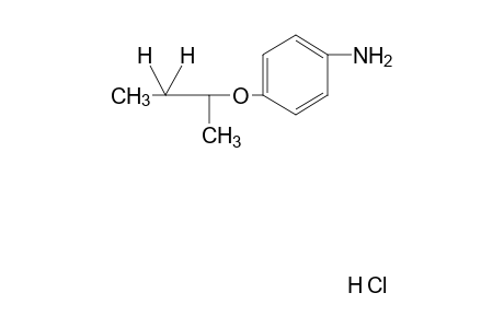 p-sec-butoxyaniline, hydrochloride