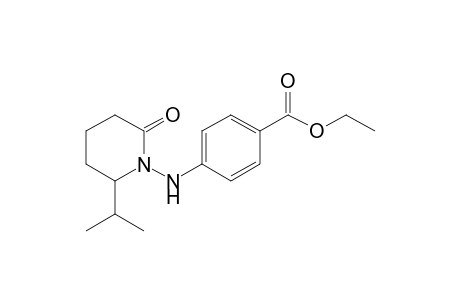 4-[(2-isopropyl-6-keto-1-piperidyl)amino]benzoic acid ethyl ester