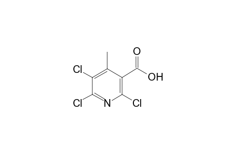 2,5,6-Trichloro-4-methylnicotinic acid