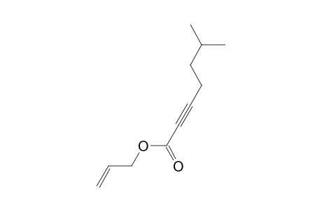 Allyl 6-methylhept-2-ynoate