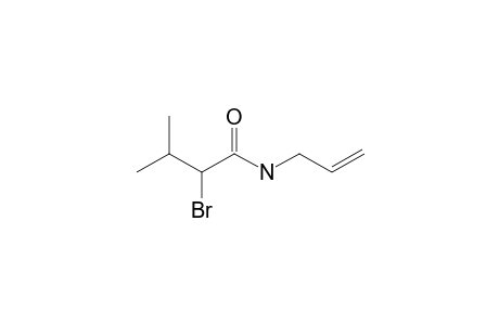 N-ALLYL-2-BROMO-3-METHYLBUTYRAMIDE