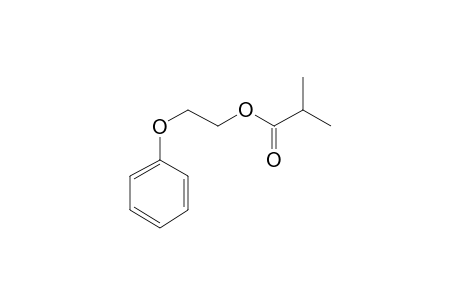 2-Phenoxyethyl isobutyrate