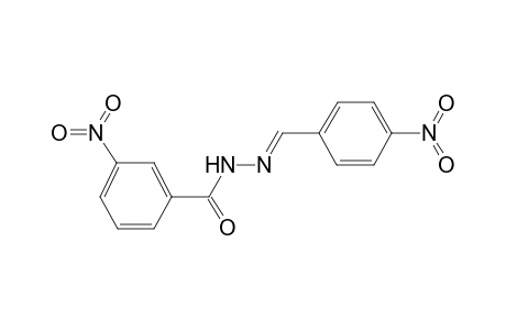 3-nitro-N'-[(E)-(4-nitrophenyl)methylidene]benzohydrazide